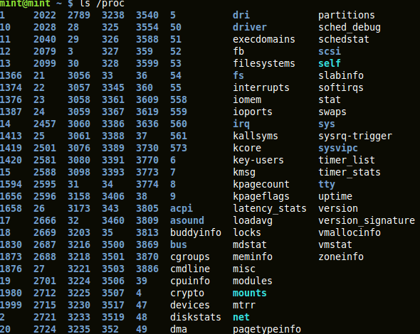 output of &apos;ls /proc&apos;