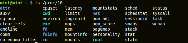 output of &apos;ls /proc/pid&apos;