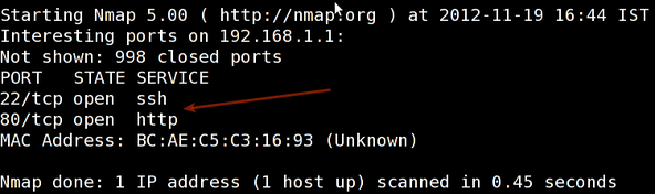 Fig.01: nmap in action