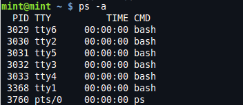 Output of &quot;ps -a&quot; command