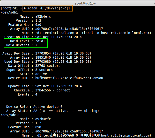 Check RAID Device type