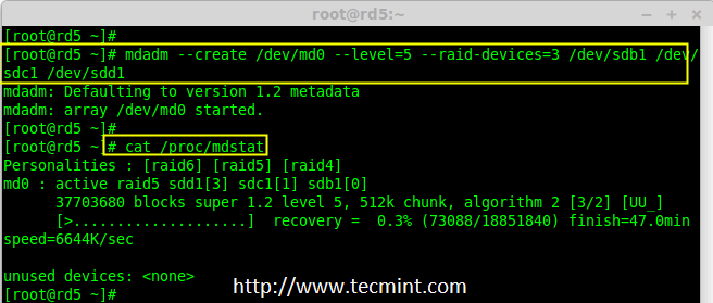 Verify Raid Device