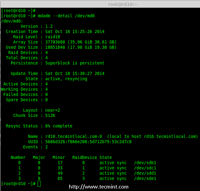 Check Raid Array Details