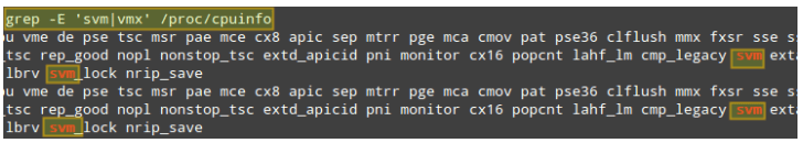 檢查 KVM 支持