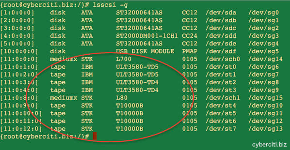 Fig.03: Installed tape devices on Linux server