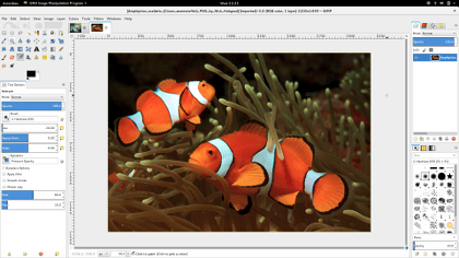 GNU Image Manipulation Program Screenshot