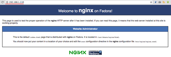 Nginx 正確運行