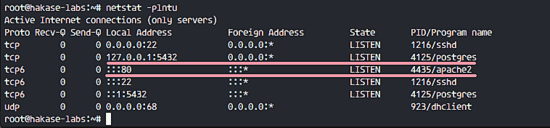 Install Apache and PostgreSQL