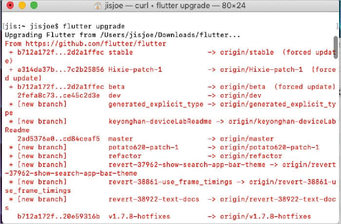 圖 1: 升級 Flutter 到最新版