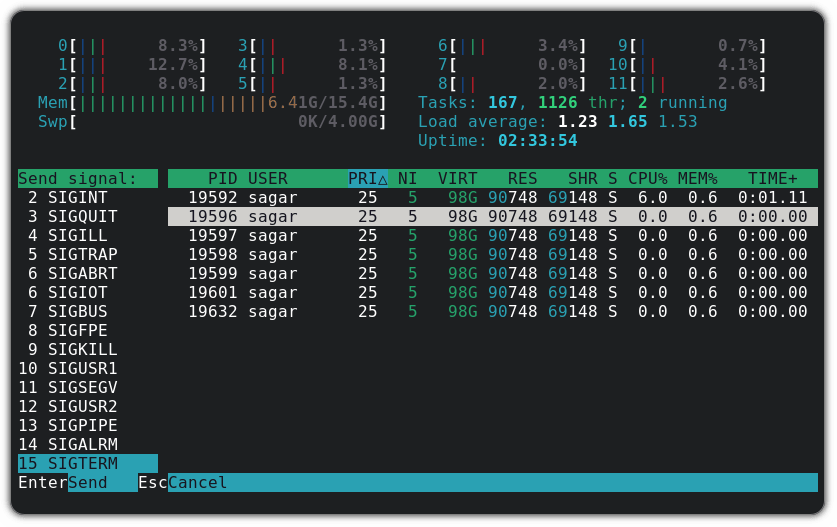 在 htop 中殺死進程