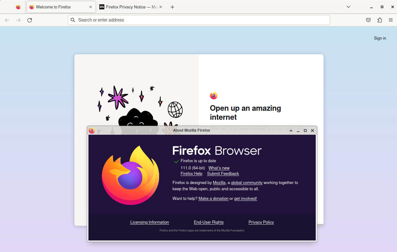 在 Linux 上運行的 Firefox 111