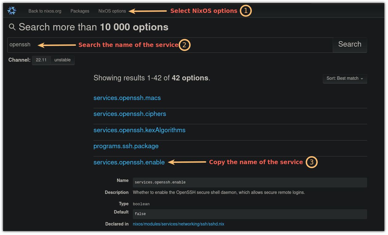 搜索 NixOS 中的 OpenSSH 服務