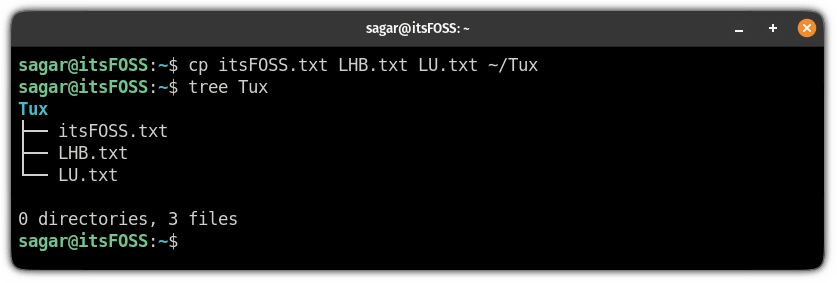 copy multiple files using the cp command in linux