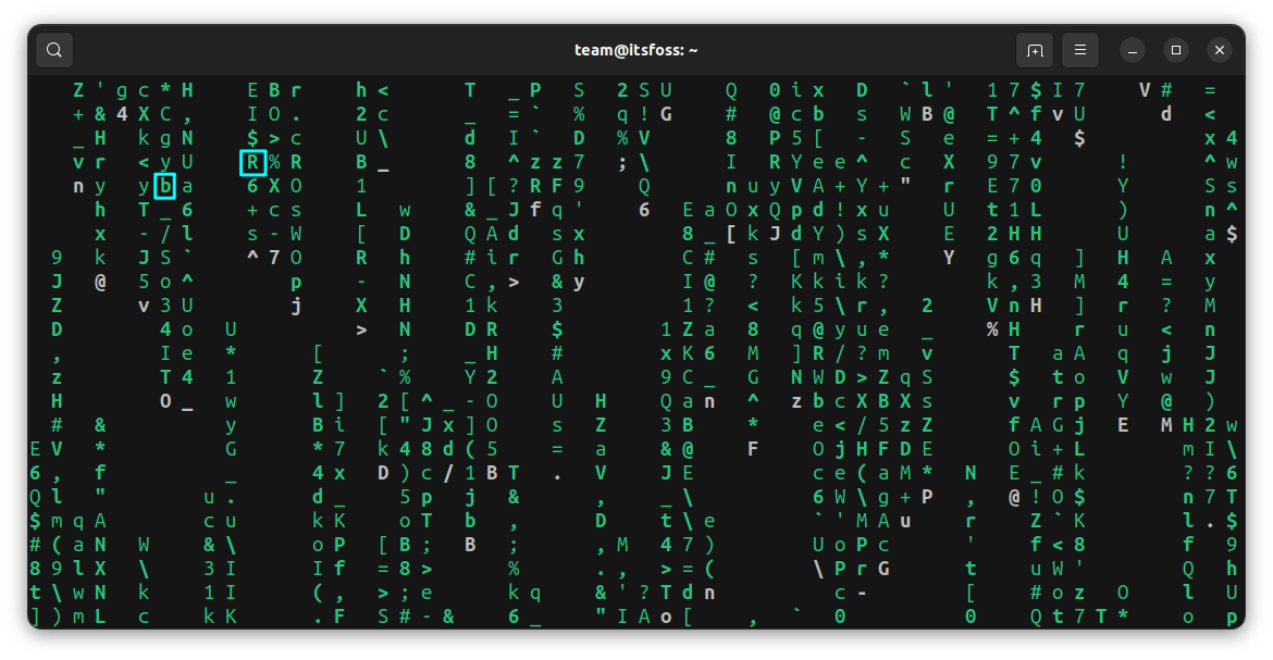 加粗的 Cmatrix 字符