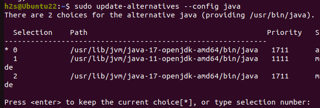 设置默认 Java 版本